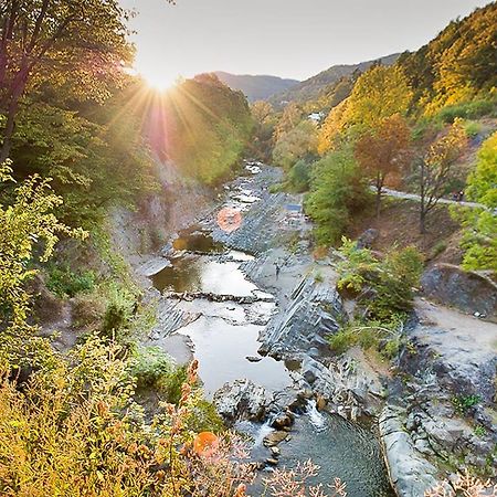 Sadyba Karpatskyi Vedmid Kosiv Exteriér fotografie