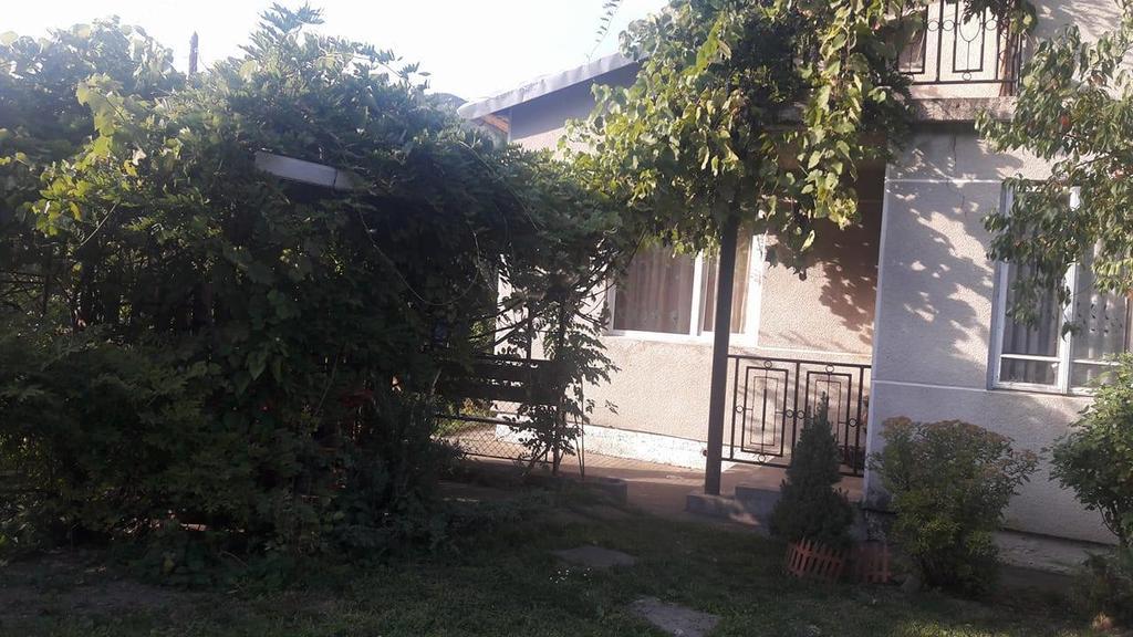 Sadyba Karpatskyi Vedmid Kosiv Exteriér fotografie